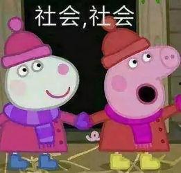 小布布娱乐吃瓜,揭秘娱乐圈幕后故事